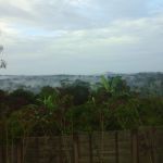 Phénomène extraordinaire de brouillard à Mindourou